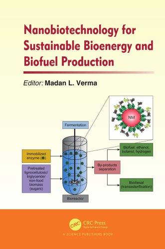 Nanobiotechnology for sustainable bioenergy and biofuel production