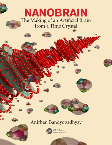Nanobrain: the making of an artificial brain from a time crystal