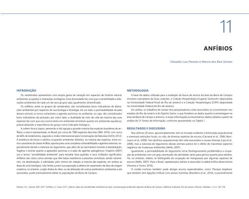 Atlas de sensibilidade ambiental ao óleo: Caracterização ambiental regional da Bacia De Campos, Atlântico Sudoeste