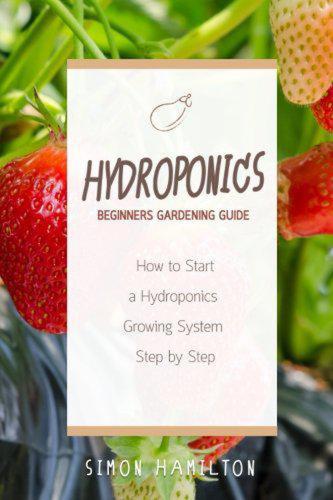 Hydroponics beginners gardening guide: how to start a hydrophonics system step by step