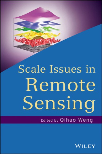 Scale issues in remote sensing