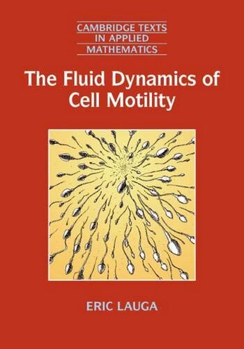 The Fluid Dynamics of Cell Motility
