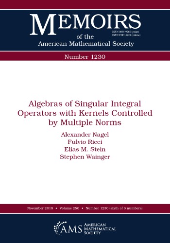 Algebras of singular integral operators with kernels controlled by multiple norms
