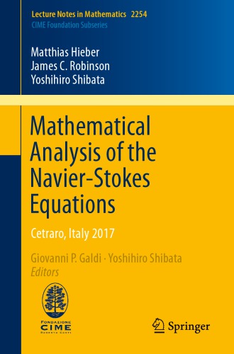 Mathematical analysis of the Navier-Stokes equations. Italy 2017