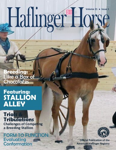 Halfinger Horse