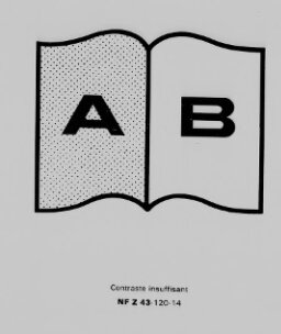 Dictionnaire annamite-français