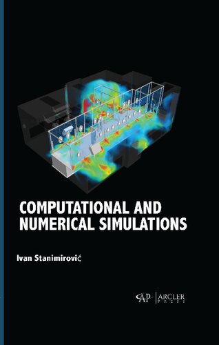 Computational and Numerical Simulations