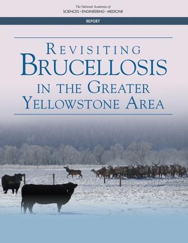 Revisiting Brucellosis in the Greater Yellowstone Area