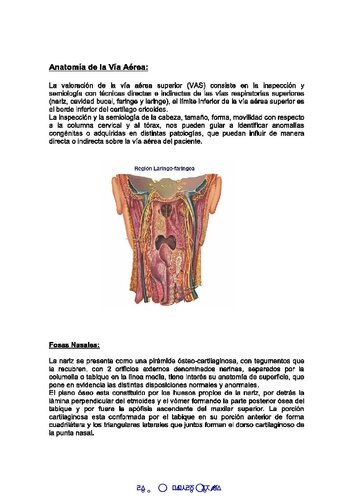 Via Aerea Anestesiologia