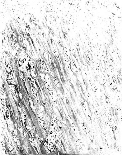 Iglesias mozárabes : arte español de los siglos IX a XI