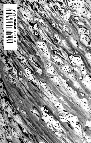 Obras completas de Amado Nervo. [Texto al cuidado de Alfonso Reyes; ilustraciones de Marco]