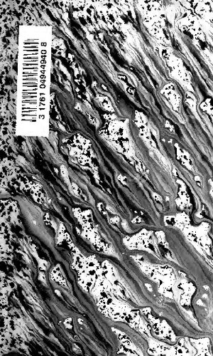 Obras completas de Amado Nervo. [Texto al cuidado de Alfonso Reyes; ilustraciones de Marco]