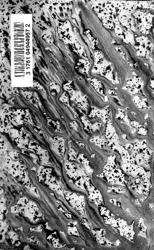 Obras completas de Amado Nervo. [Texto al cuidado de Alfonso Reyes; ilustraciones de Marco]