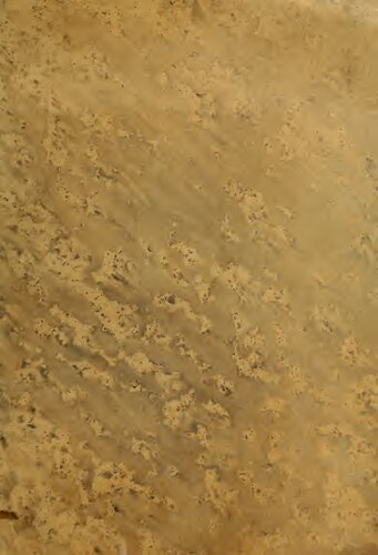 Alusiones a cosas de los moros en documentos latinos