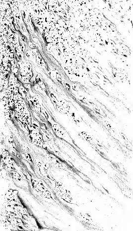 Estudios de crítica literaria