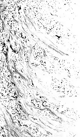 Estudios de crítica literaria