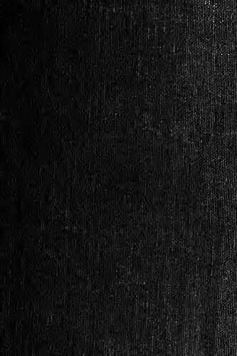 Orígenes de la novela