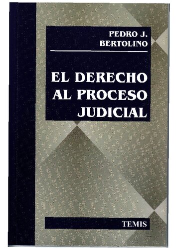 El Derecho Al Proceso Judicial