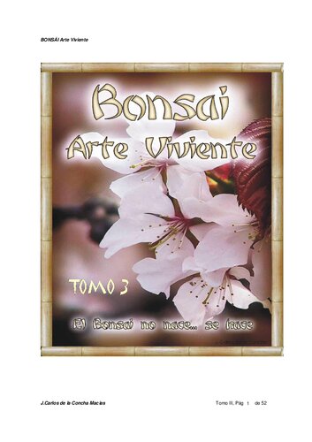 Bonsai Arte Viviente Iii