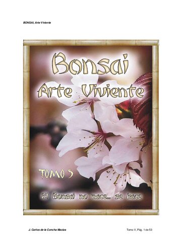 Bonsai Arte Viviente V