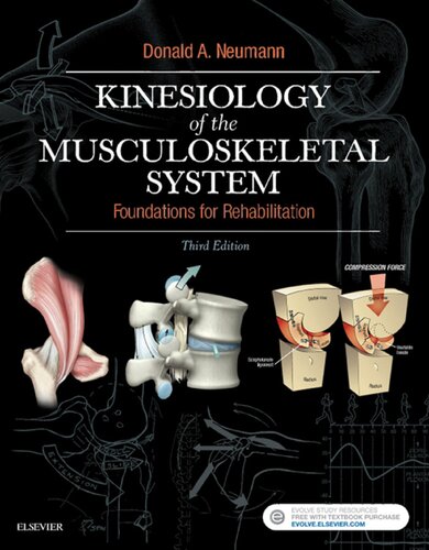 Kinesiology of the Musculoskeletal System 3rd Edition