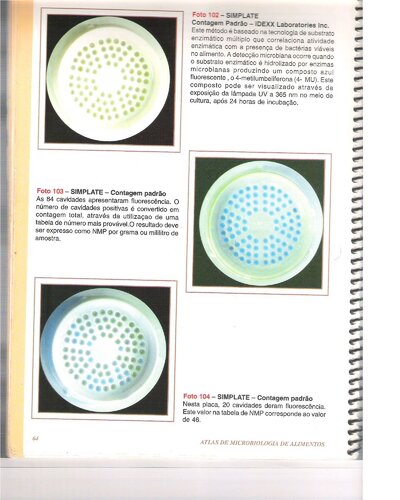 Atlas De Microbiologia De Alimentos Parte 2