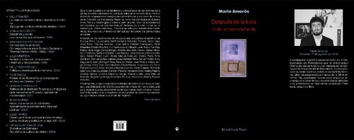 Después de la lluvia: Chile, la memoria herida