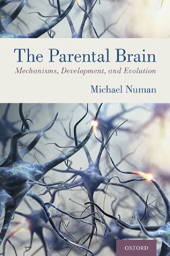 The Parental Brain: Mechanisms, Development, and Evolution