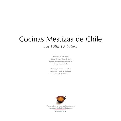 Cocinas Mestizas De Chile La Olla Deleitoza