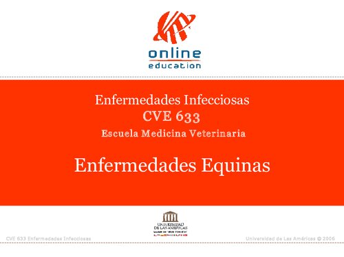 Enfermedades En Equinos