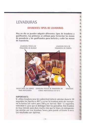 Recetas Libro De Masas