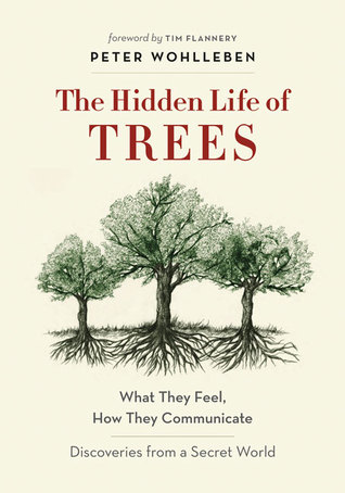 The Hidden Life of Trees: What They Feel, How They Communicate – Discoveries from a Secret World: the illustrated edition