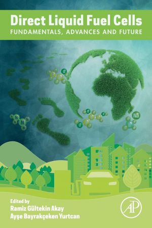 Direct Liquid Fuel Cells: Fundamentals, Advances and Future