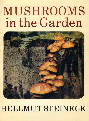 Mushrooms in the garden