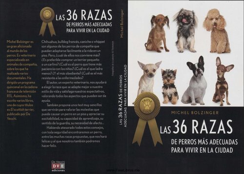 Las 36 Razas de Perros mas Adecuadas para Vivir en la Ciudad