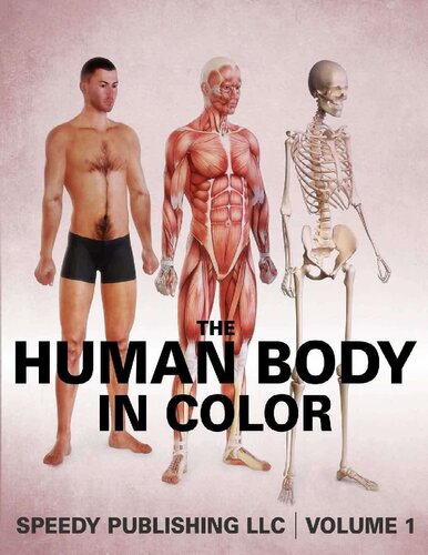 The Human Body