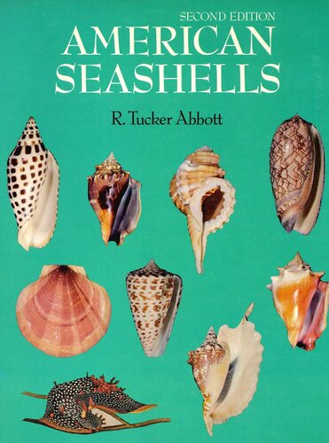 American Seashells