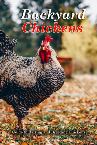 Backyard Chickens: Guide to Raising and Breeding Chickens : Raising Chickens for Beginners