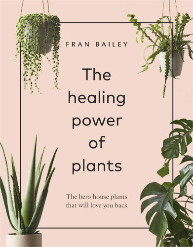 The healing power of plants: the hero house plants that love you back
