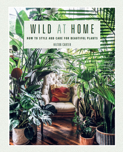 Wild at home: how to style and care for beautiful plants