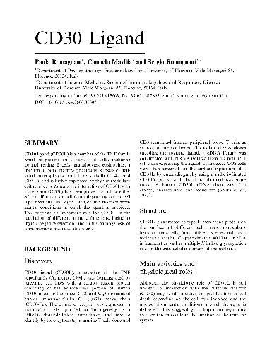 CD30 Ligand
