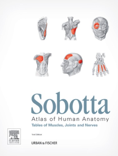 Sobotta Atlas of human anatomy. Tables of muscles, joints, and nerves