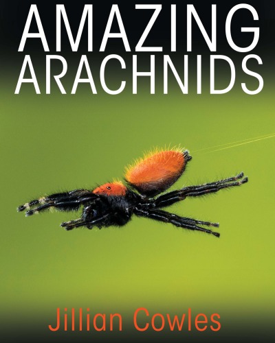 Amazing arachnids