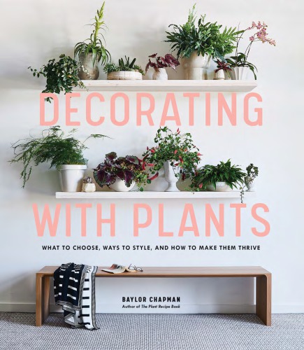 Decorating with plants: what to choose, ways to style, and how to make them thrive