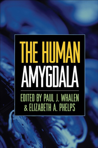The human amygdala