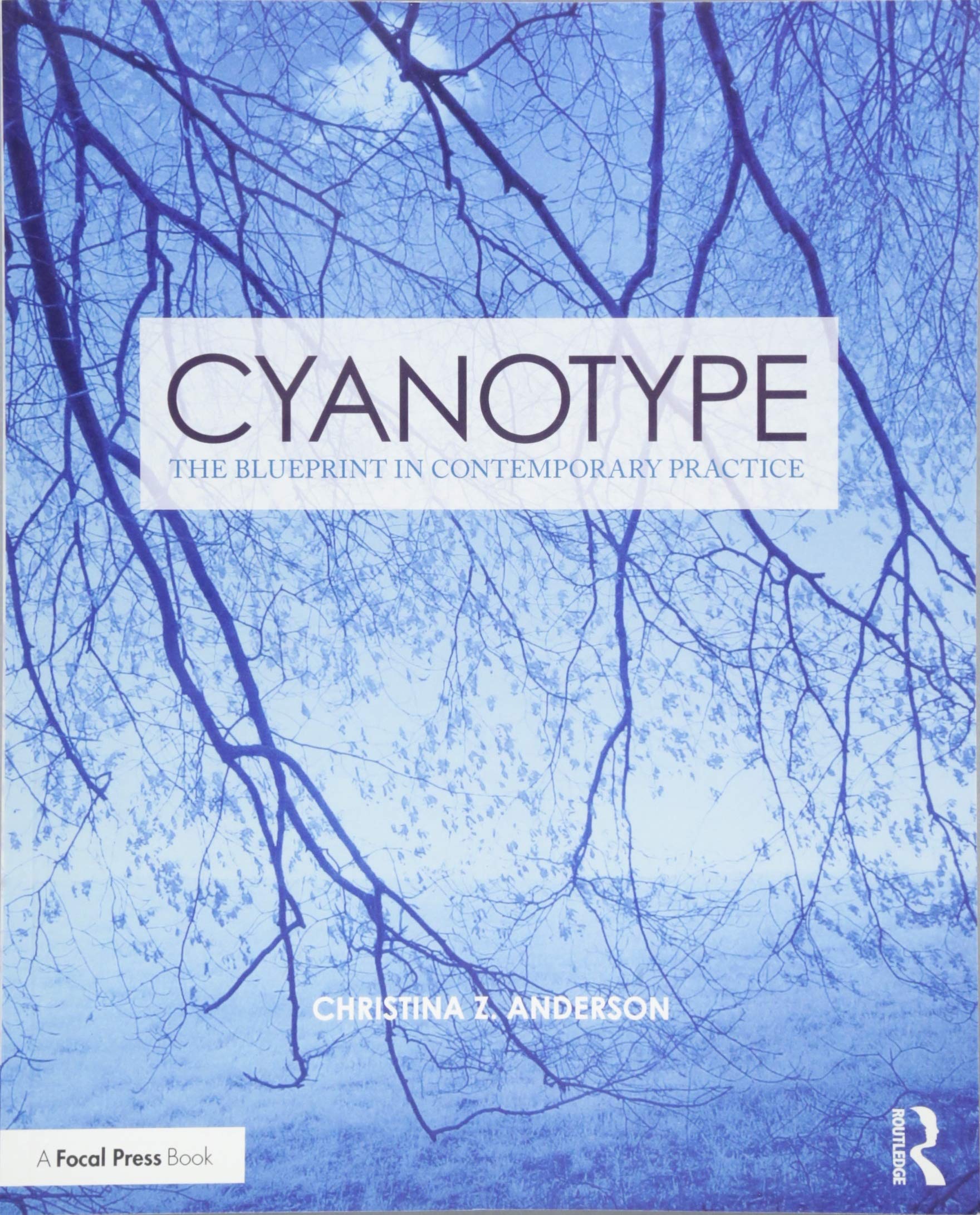 Cyanotype: The Blueprint in Contemporary Practice