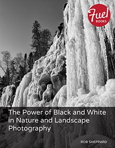 The Power of Black and White in Nature and Landscape Photography