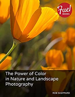 The Power of Color in Nature and Landscape Photography