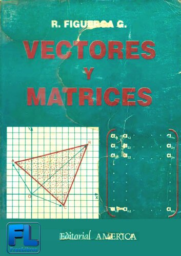 Matemática Básica 2: Vectores y Matrices