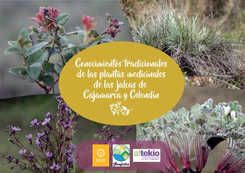 Conocimientos tradicionales de las plantas medicinales de las jalcas de Cajamarca y Celendín